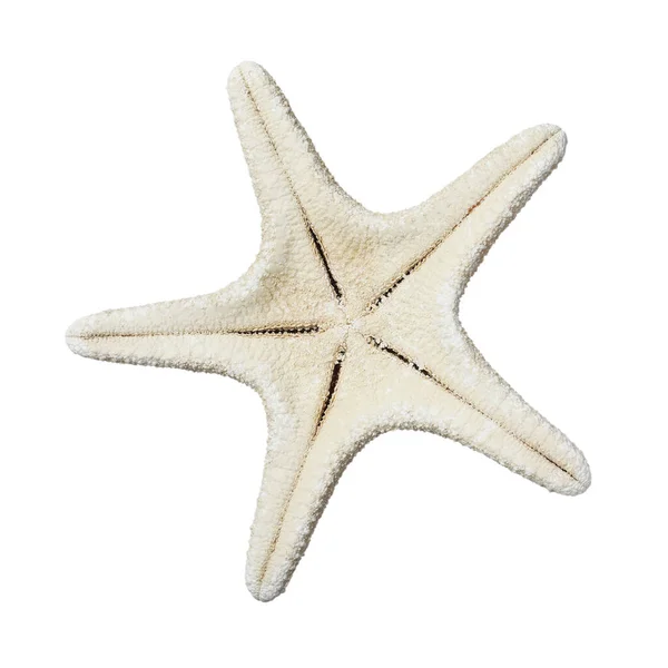 바다에 고립된 아름다운 별입니다 — 스톡 사진