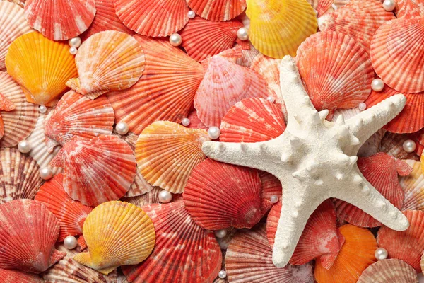 Belle Conchiglie Stelle Marine Perle Come Sfondo Vista Dall Alto — Foto Stock