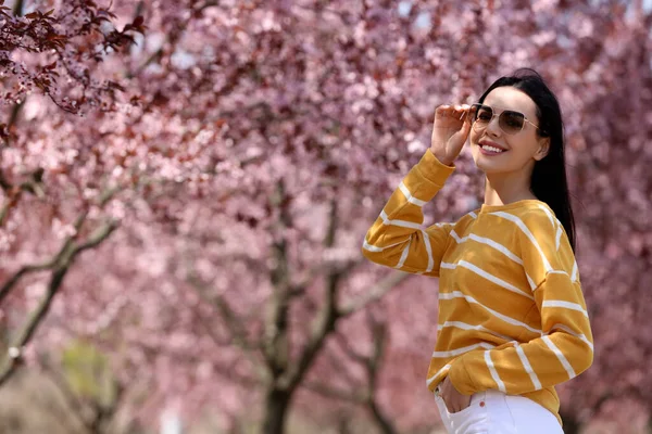 Söt Ung Kvinna Med Solglasögon Nära Vackra Blommande Träd Utomhus — Stockfoto