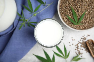 Açık gri masa üzerinde taze yaprakları olan kenevir sütü ve tohumlar düzdü.