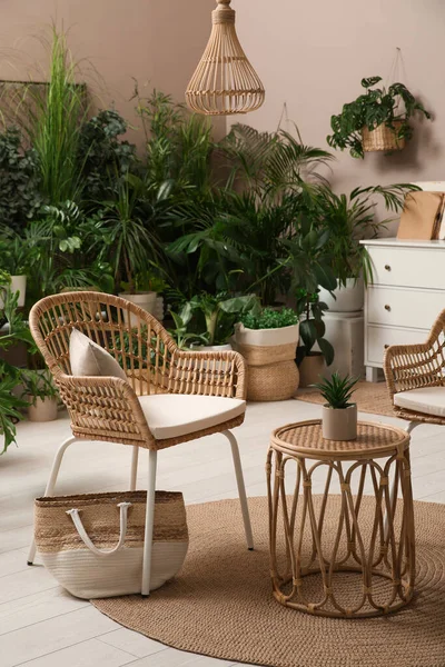 Raumgestaltung Mit Stilvollen Möbeln Und Verschiedenen Zimmerpflanzen — Stockfoto