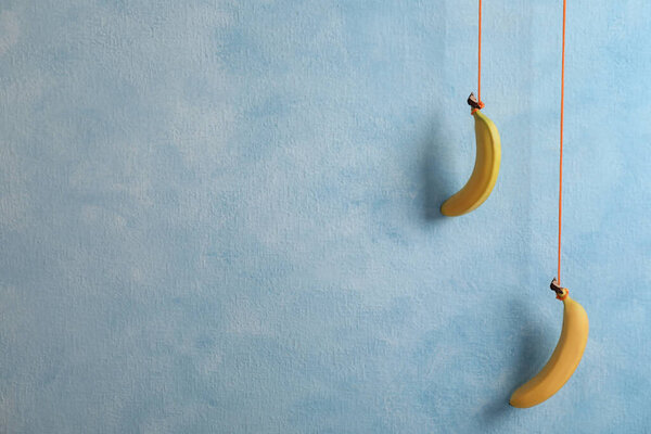 Delicious bananas hanging on light blue background. Space for text