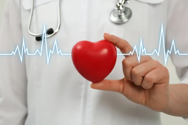 Doctor Holding Red Heart Closeup Cardiology Concept — Stock Photo, Image