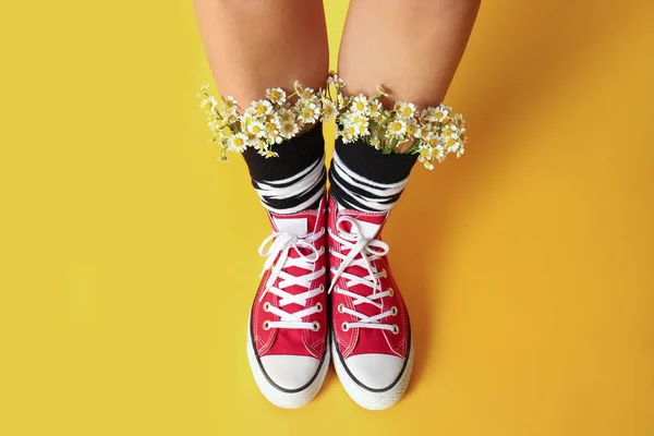 Oben Ansicht Der Frau Mit Schönen Zarten Kamillenblüten Socken Auf — Stockfoto