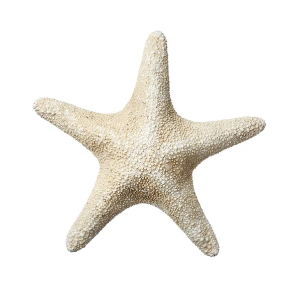 Hermosa Estrella Mar Aislada Blanco Objeto Playa —  Fotos de Stock