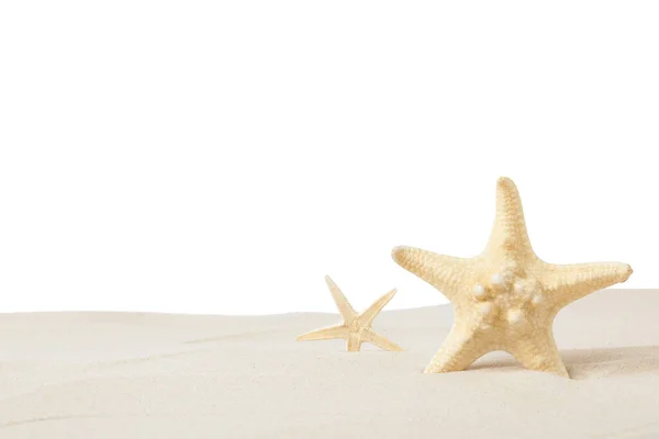 Красивые Морские Звезды Песке Белом Фоне — стоковое фото
