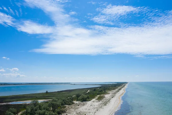 Vacker Antenn Utsikt Över Havet Kust Med Djur — Stockfoto