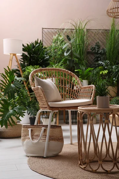 Intérieur Chambre Avec Des Meubles Élégants Différentes Plantes Intérieur — Photo