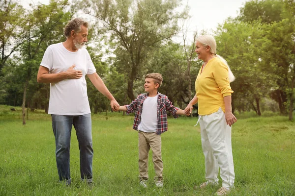 Netter Kleiner Junge Und Großeltern Verbringen Zeit Zusammen Park — Stockfoto