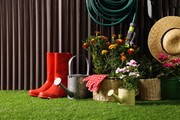 Plantas Bonitas Ferramentas Jardinagem Acessórios Grama Verde Perto Parede Madeira — Fotografia de Stock