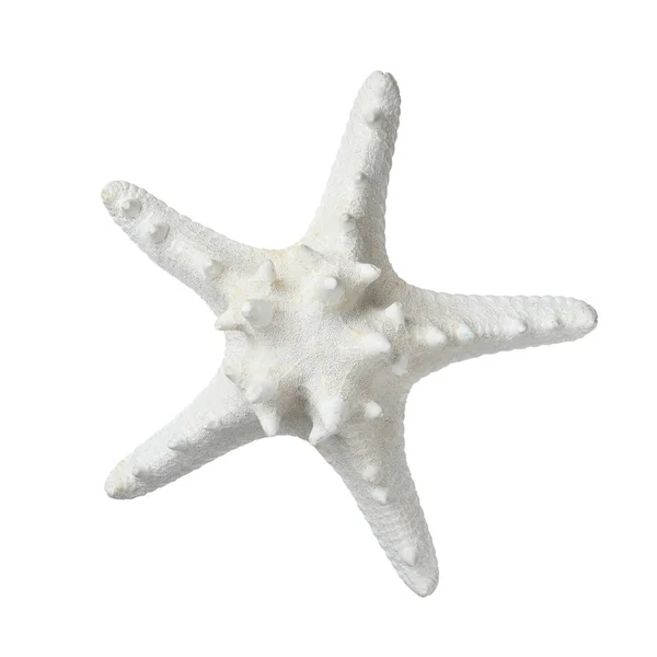 Hermosa Estrella Mar Aislada Blanco Objeto Playa — Foto de Stock