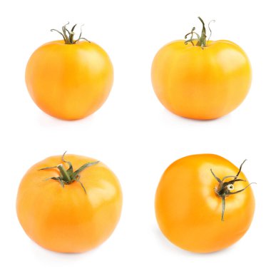 Beyaz arka planda taze olgun sarı domateslerle kurulmuş.