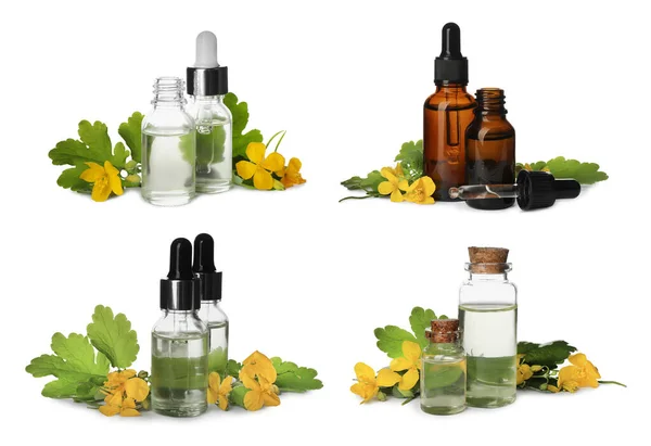 Set Celandine Essential Oil Bottles White Background — Stock Photo, Image