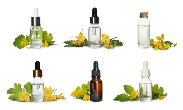 Set Celandine Essential Oil Bottles White Background — Stock Photo, Image