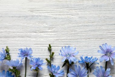 Beyaz ahşap arka planda güzel hindiba çiçekleri, düz yatış. Metin için boşluk