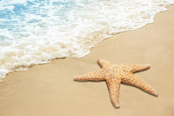 Mooie Golven Zeester Zandstrand — Stockfoto