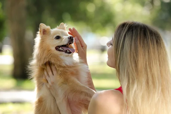 Mujer Joven Con Lindo Perro Parque Día Soleado —  Fotos de Stock