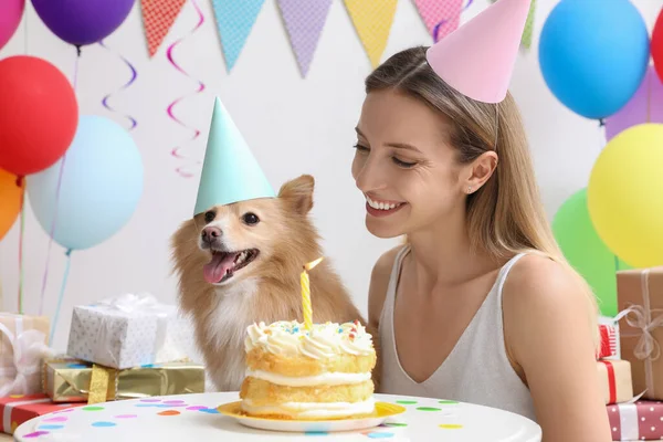Mutlu Kadın Evcil Hayvanının Doğum Gününü Dekore Edilmiş Odada Kutluyor — Stok fotoğraf