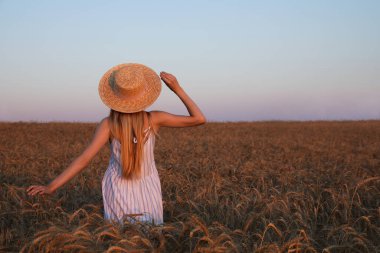 Olgun buğday dikenli dikenli tarlada bir kadın. Metin için boşluk