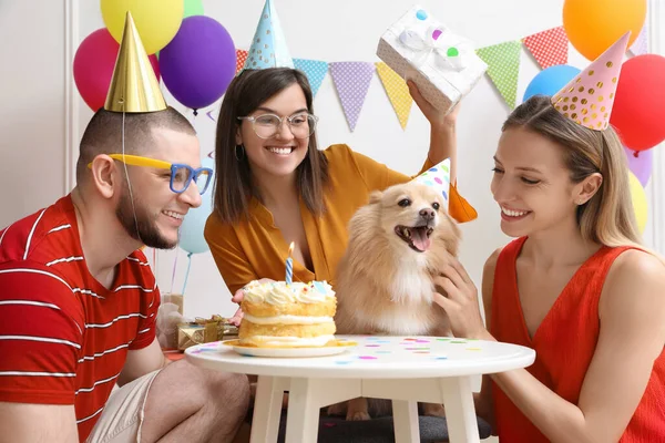 Amigos Felizes Comemorando Aniversário Seu Animal Estimação Quarto Decorado — Fotografia de Stock