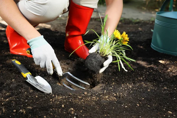 Mulher Plantando Flores Livre Close Tempo Jardinagem — Fotografia de Stock