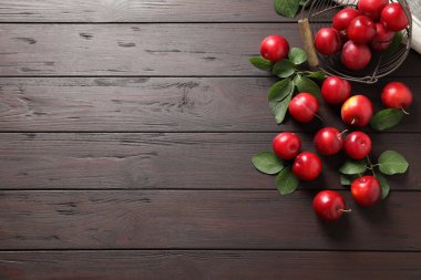 Tahta masa üzerinde yaprakları olan lezzetli olgun erikler. Metin için boşluk