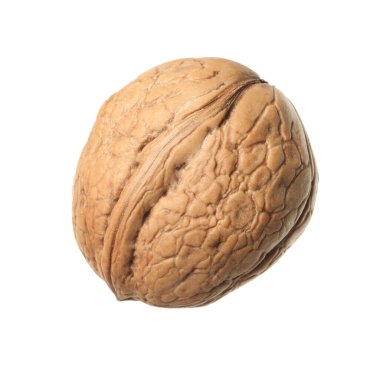 Kabuklu ceviz beyaza izole edilmiş.