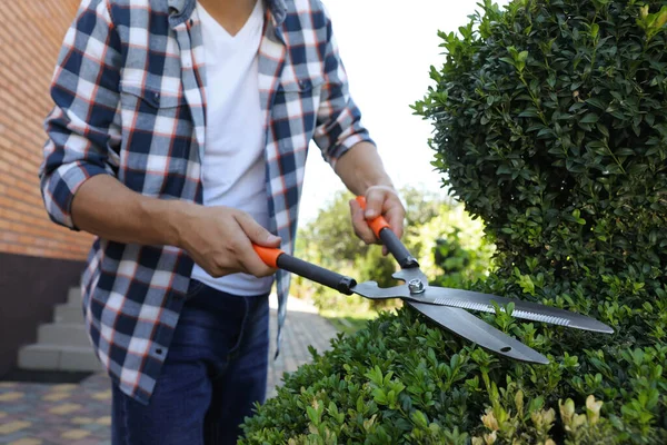 Hombre Recortando Arbustos Día Soleado Primer Plano Tiempo Jardinería — Foto de Stock