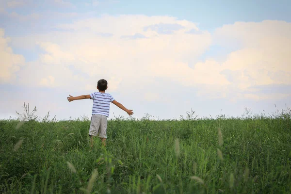 阳光灿烂的日子里 小男孩在田里 回头看 儿童在大自然中度过的时光 — 图库照片