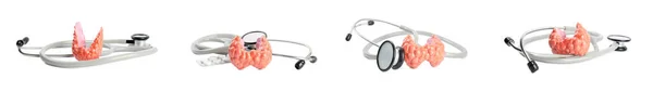 Plastikowe Modele Dotkniętych Tarczycy Stetoskopów Białym Tle Kolaż Projekt Banera — Zdjęcie stockowe