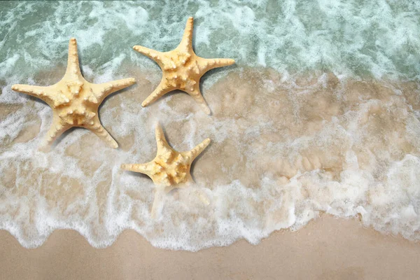 Beautiful Waves Sea Stars Sandy Beach Top View — Stock Photo, Image