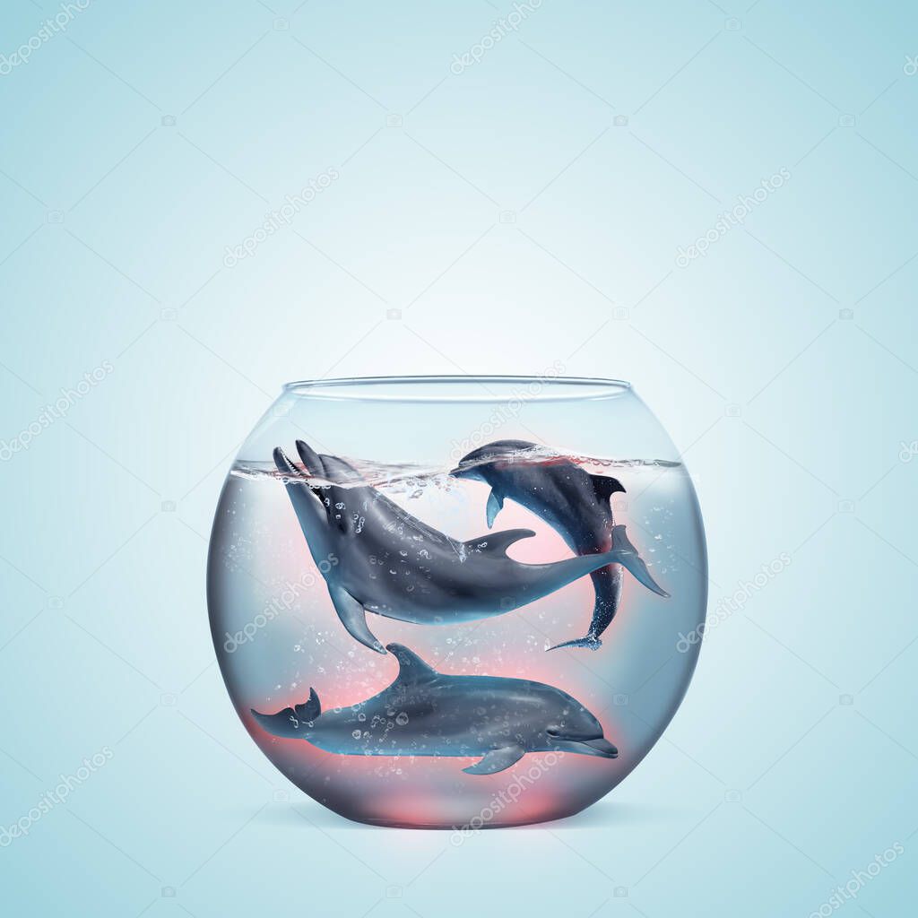 Dolphins in glass aquarium on light blue background. Anti-Captivity Campaign