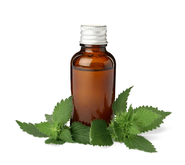 Glass Bottle Nettle Oil Leaves Isolated White — Stock Photo, Image