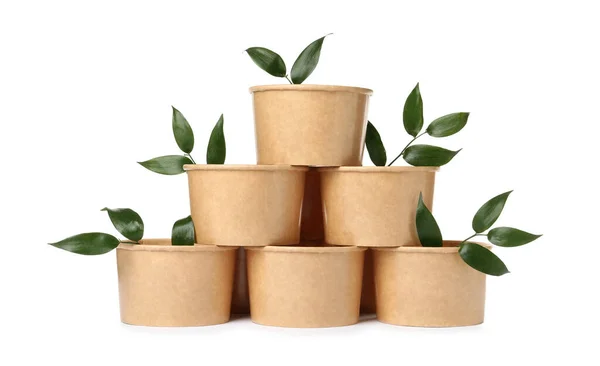 Eco Friendly Food Containers Twigs White Background — Stock Photo, Image