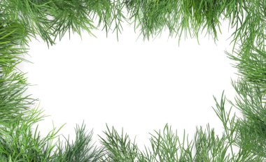 Beyaz arka planda taze dereotundan yapılmış çerçeve, üst görünüm