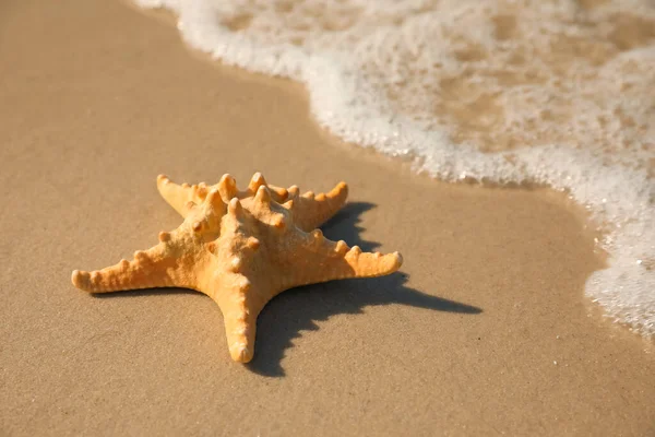 Beautiful Sea Star Sandy Beach Space Text — Stock Photo, Image