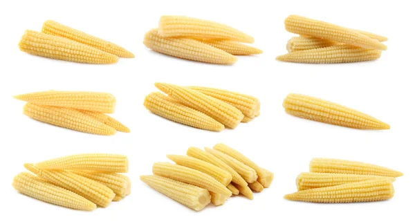 Állítsa Ízletes Baba Kukorica Cobs Fehér Háttér — Stock Fotó