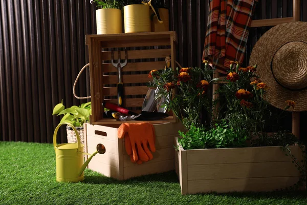 Prachtige Planten Tuingereedschap Accessoires Groen Gras Bij Houten Lattenwand — Stockfoto