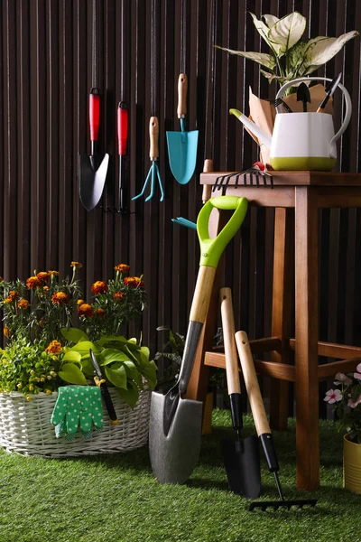 Prachtige Planten Tuingereedschap Accessoires Groen Gras Bij Houten Lattenwand — Stockfoto