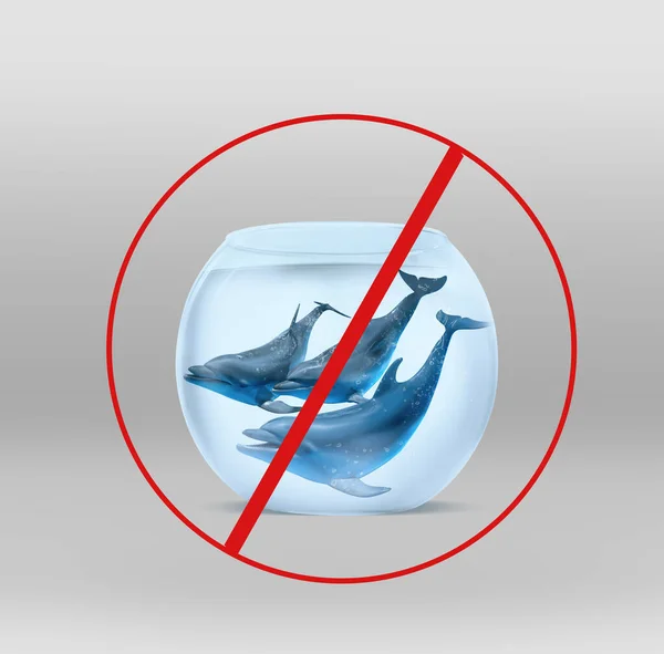Golfinhos Aquário Vidro Sinal Proibição Vermelho Fundo Cinza Claro Campanha — Fotografia de Stock