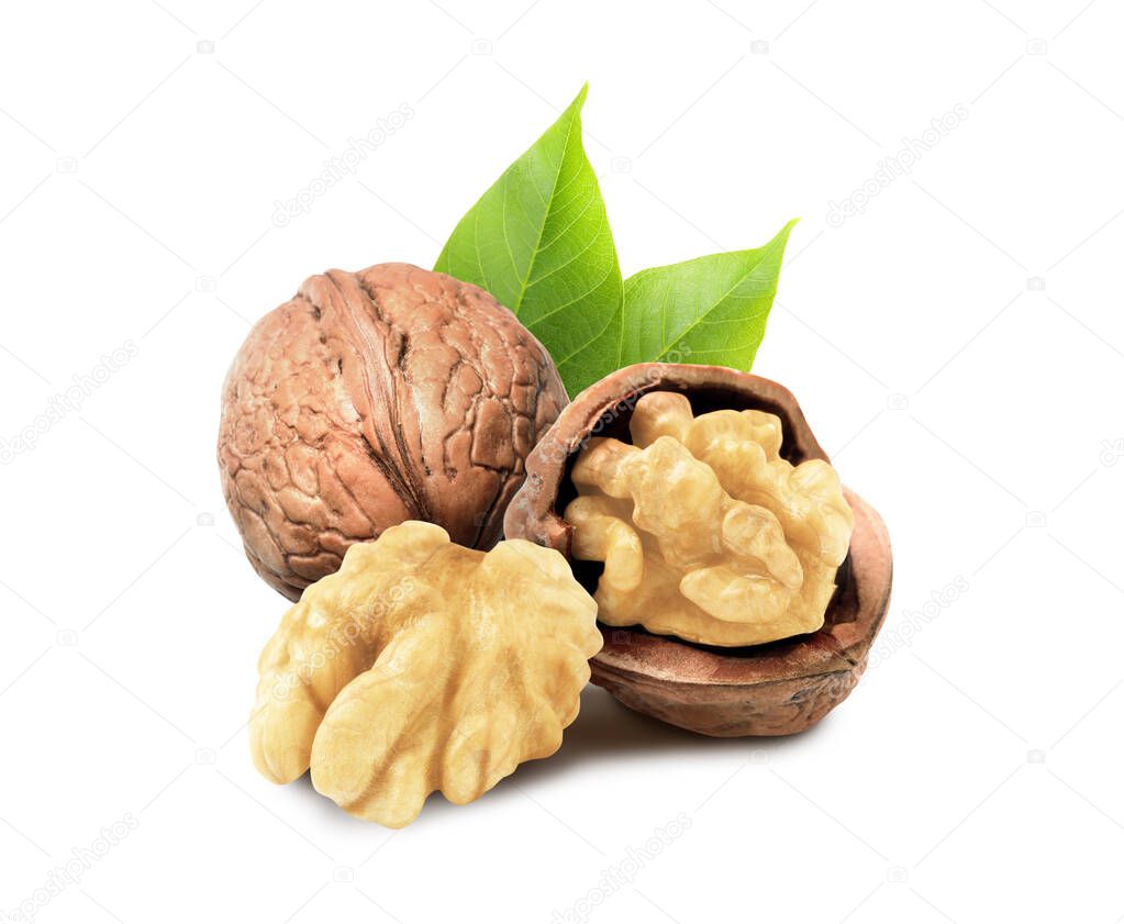 Tasty walnuts and green leaves on white background