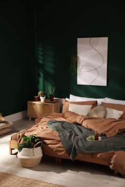 Geniş konforlu yatağı ve saksısı olan şık bir iç mekan.