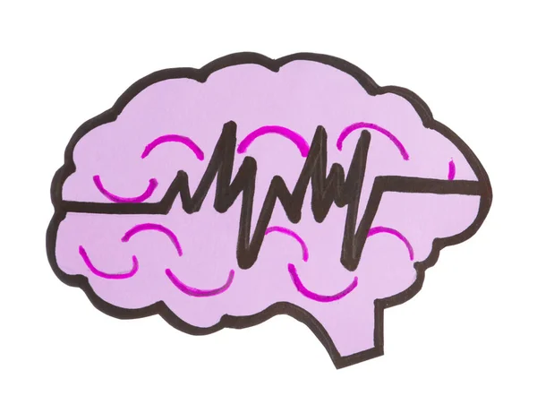Бумажный Вырез Мозга Импульсной Линией Белом Фоне Эпилепсия — стоковое фото