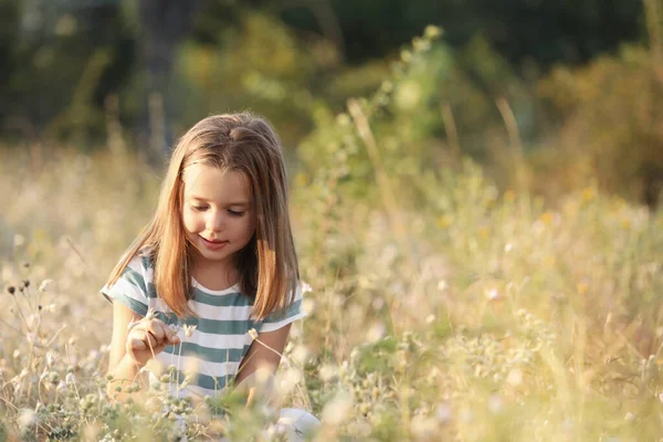 Güneşli Bir Günde Küçük Şirin Bir Kız Çocuk Doğada Vakit — Stok fotoğraf