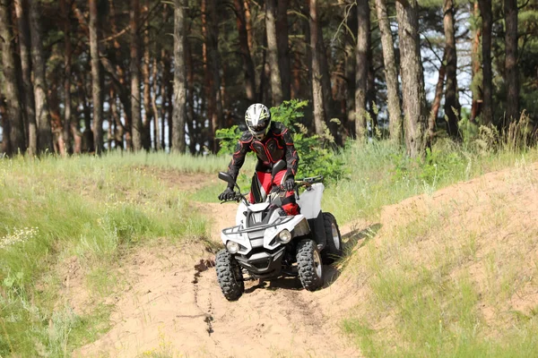 森の近くの砂の道で現代のクワッドバイクを運転する男 極端なスポーツ — ストック写真