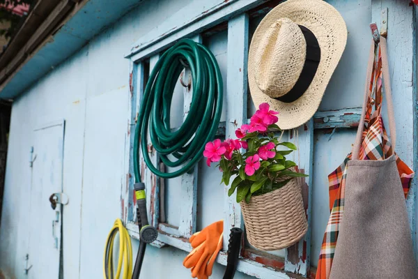 Schöne Pflanzen Gartengeräte Und Accessoires Der Schuppenwand — Stockfoto