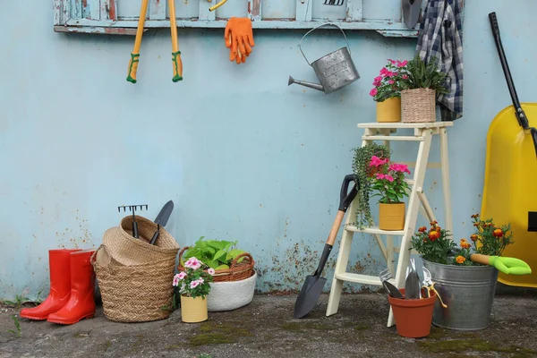 Beautiful Plants Gardening Tools Accessories Shed Outdoors Stock Photo