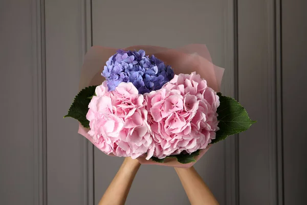 Csokor Gyönyörű Hortensia Virágok Közelében Szürke Fal Közelkép — Stock Fotó