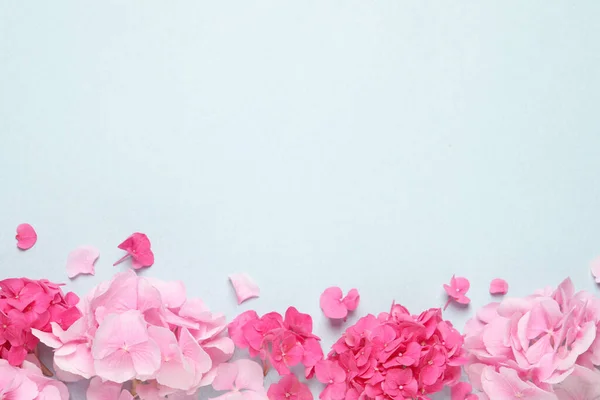 Prachtige Hortensia Bloemen Lichtblauwe Achtergrond Vlak Gelegd Ruimte Voor Tekst — Stockfoto