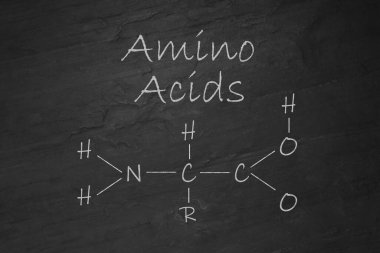 Metin Amino Acids ve kimyasal formül siyah levha yüzeyi üzerine